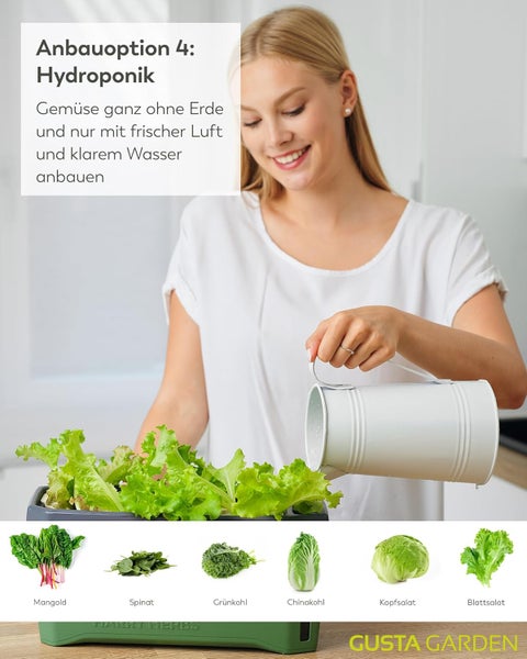 Frau gießt Salat in einem Hydrokultur-System mit Mangold, Spinat, Grünkohl, Chinakohl, Kopfsalat und Blattsalat