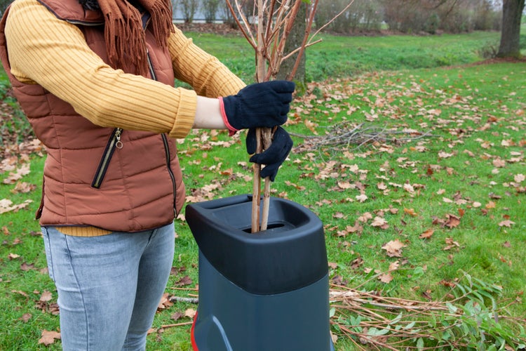 Eine Person füllt dünne Äste in die Einfüllöffnung eines Gartenhäckslers bei der Gartenarbeit im Herbst.