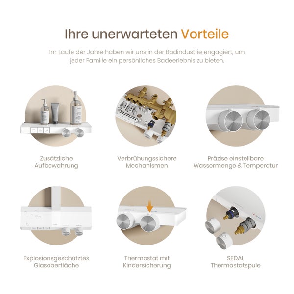 Infografik zu Funktionen eines Duschthermostats: Ablagefläche, Verbrühungsschutz, Drehregler, Glasoberfläche, Kindersicherung und Sedal-Kartusche.