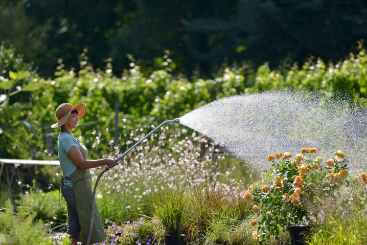 Frau gießt Pflanzen mit einem Bewässerungsstab im Garten.
