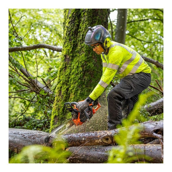 Eine Person sägt mit einer Kettensäge einen Baumstamm im Wald.