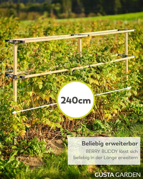 Gusta Garden Berry Buddy Beerenstütze aus Holz, 240 Zentimeter lang, beliebig erweiterbar, für Himbeeren im Garten.
