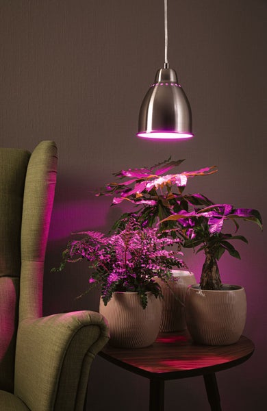 Neordic Set Pendelleuchte Hilla + LED Reflektor E27 Eisen gebürstet dimmbar Metall / 230V 200lm 6,5W 1300K