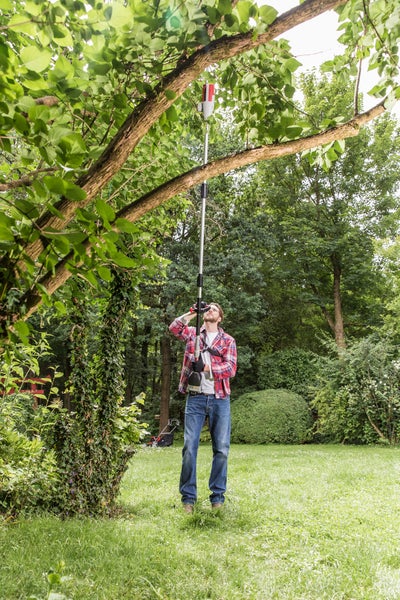 Ein Mann im Garten nutzt einen teleskopierbaren Hochentaster zum Beschneiden von Ästen an einem Baum.
