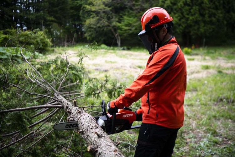 Eine Person trägt Schutzkleidung und benutzt eine Kettensäge zum Schneiden eines Baumstamms.