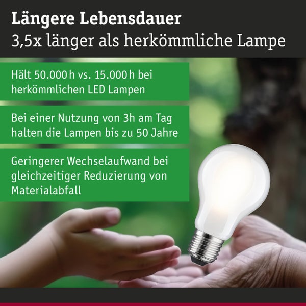 Eco-Line Filament 230V LED Birne E27 Einzelleuchte 1521lm 8,2W 3000K dimmbar Matt