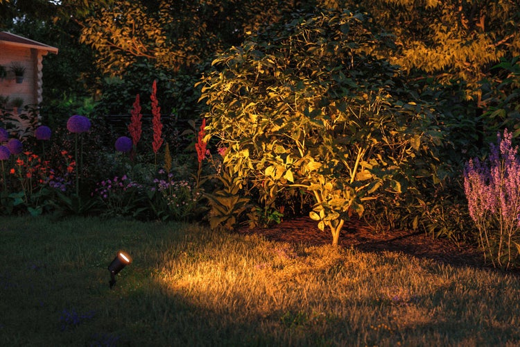 LED Gartenstrahler Goldlicht insektenfreundlich IP65 rund 92mm 2200K 4,3W 320lm 230V 38° Schwarz Metall