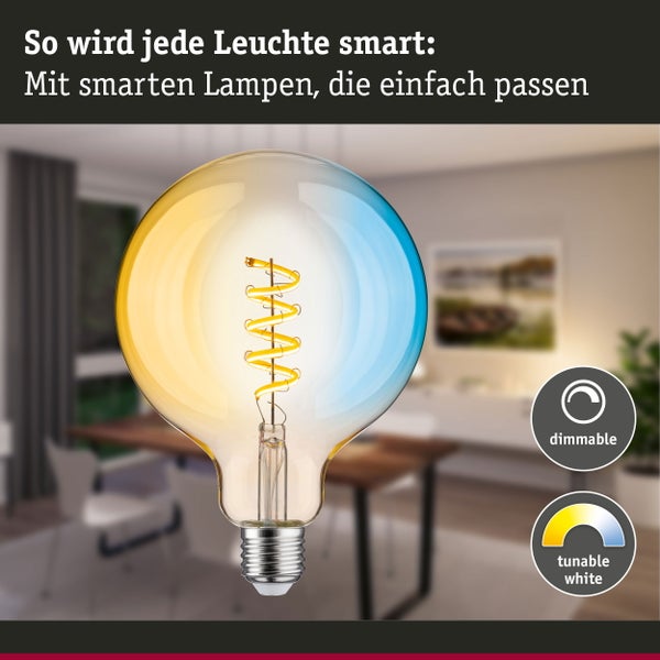 Filament 230V Smart Home Zigbee 3.0 LED Globe G125 E27 600lm 7,5W Tunable White dimmbar Gold