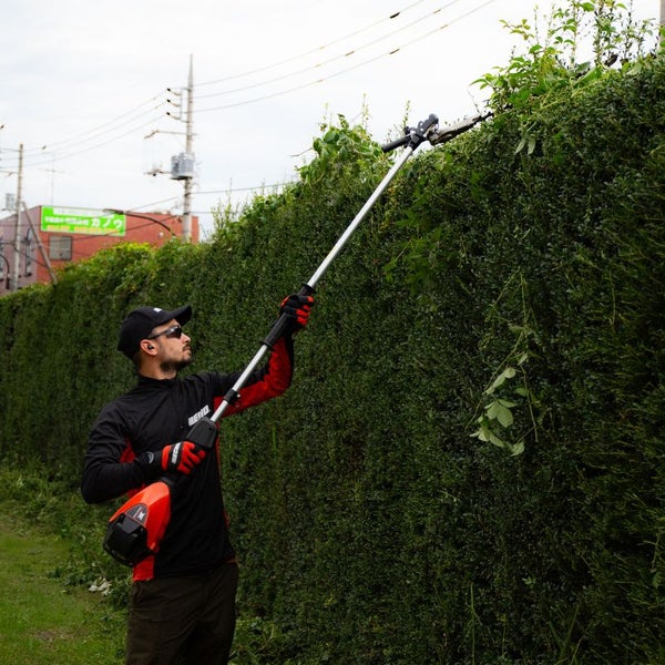 Mann schneidet Hecke mit einer Akku-Heckenschere mit Teleskopstiel