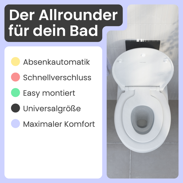 Reinigung eines WC-Sitzes mit Schnellverschluss