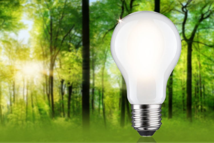 Eco-Line Filament 230V LED Birne E27 Einzelleuchte 1521lm 8,2W 3000K dimmbar Matt