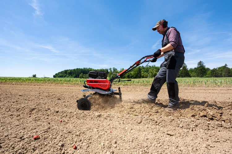 Gärtner arbeitet auf einem Feld mit einer Motorhacke AL-KO MH 1150 zum Umgraben und Lockern der Erde unter blauem Himmel.