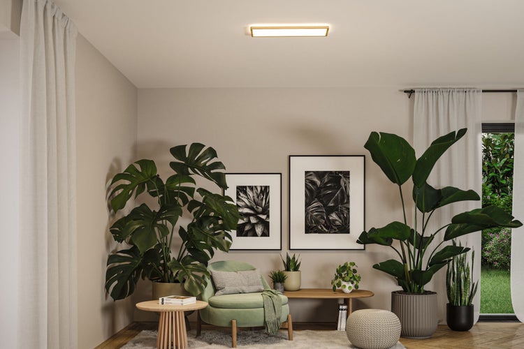 Wohnzimmer mit Sessel, Pflanzen, Bildern und Deckenleuchte