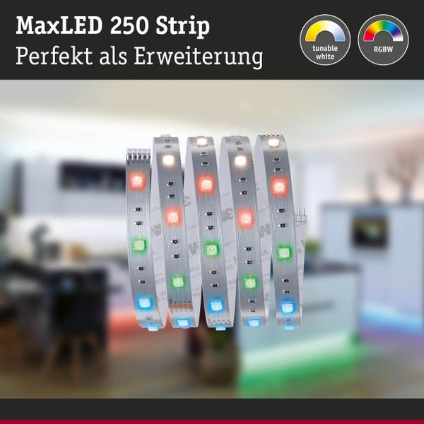 MaxLED 250 Strip als Erweiterung mit tunable white und RGBW Funktion
