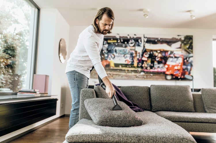Nahaufnahme von blauen Hortensienblüten