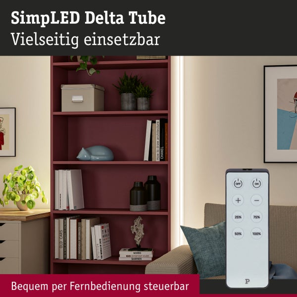 Regal mit SimpLED Delta Tube Beleuchtung und Fernbedienung