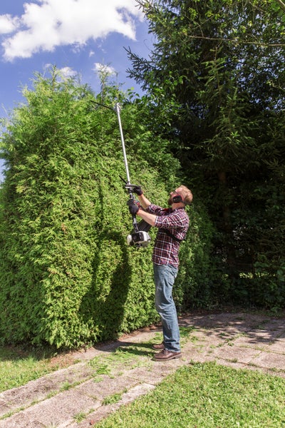 Ein Gärtner schneidet eine hohe Hecke mit einer Benzin Heckenschere mit Teleskopstiel und trägt dabei Gehörschutz.