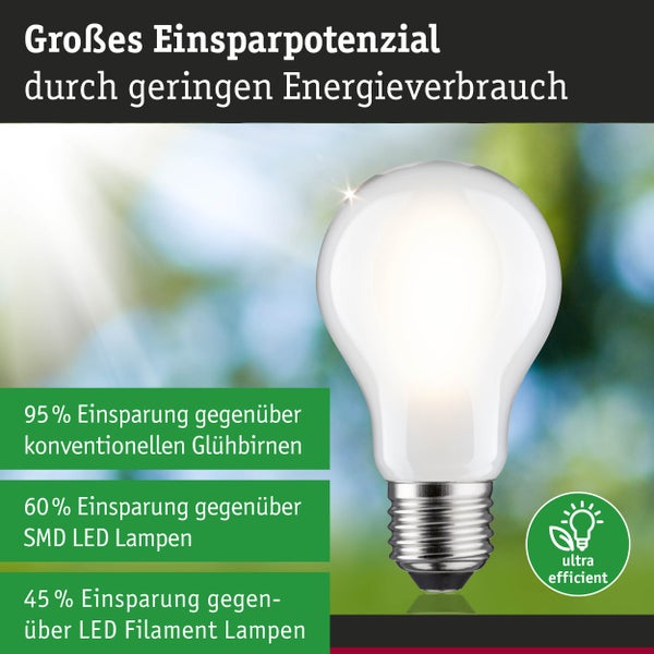 Eco-Line Filament 230V LED Birne E27 Einzelleuchte 1521lm 8,2W 3000K dimmbar Matt