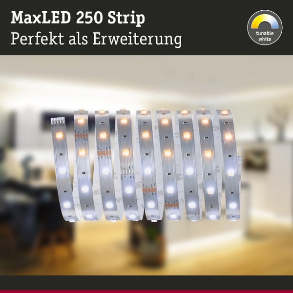 MaxLED 250 LED-Streifen als Erweiterung mit tunable white Funktion.