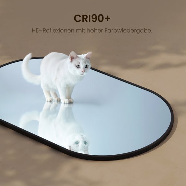 Ovaler Spiegel mit Katze und Spiegelbild