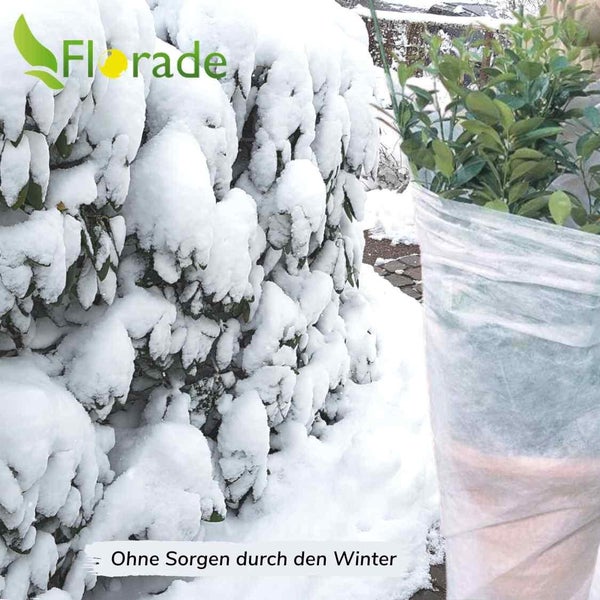 Wintervlies Florade 3,2 m x 20 m Polypropylen (PP) Weiß 50 g/m² inkl. atmungsaktiv und UV-stabilisiert