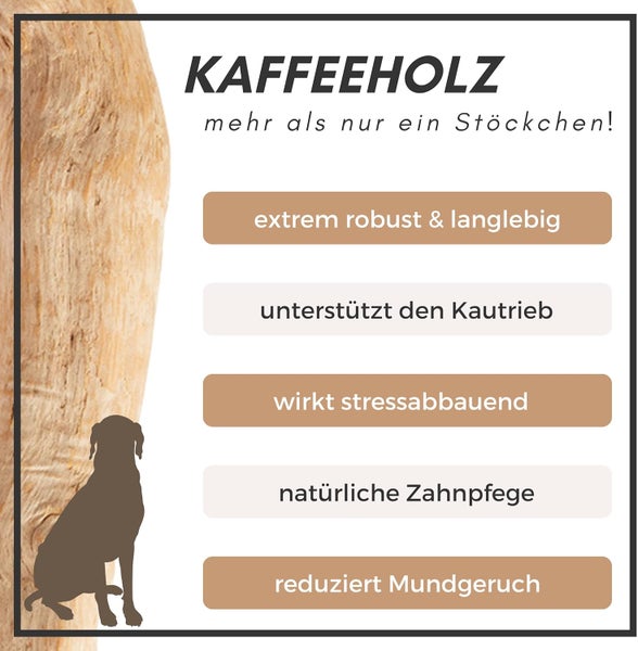 Kaffeeholz Hundespielzeug mit Hinweisen zu Robustheit, Kautrieb, Stressabbau, Zahnpflege und Reduzierung von Mundgeruch.