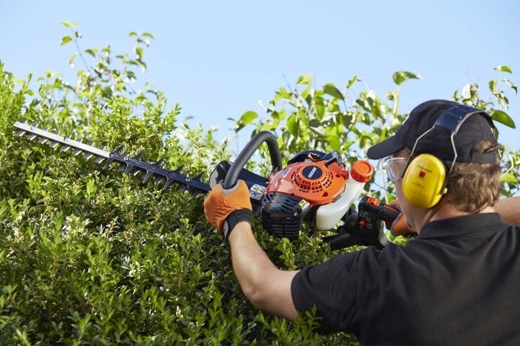 Eine Person schneidet eine Hecke mit einer Heckenschere, wobei sie persönliche Schutzausrüstung trägt.