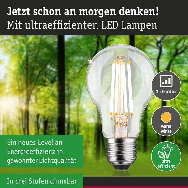 Eco-Line Filament 230V LED Birne E27 Einzelleuchte 806lm 4,3W 3000K dimmbar Klar