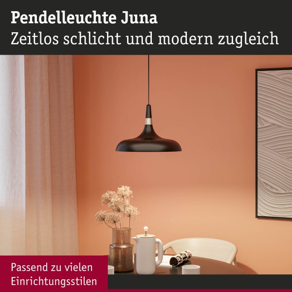 Pendelleuchte Juna E27 max. 20W Champagner, Schwarz matt dimmbar Metall