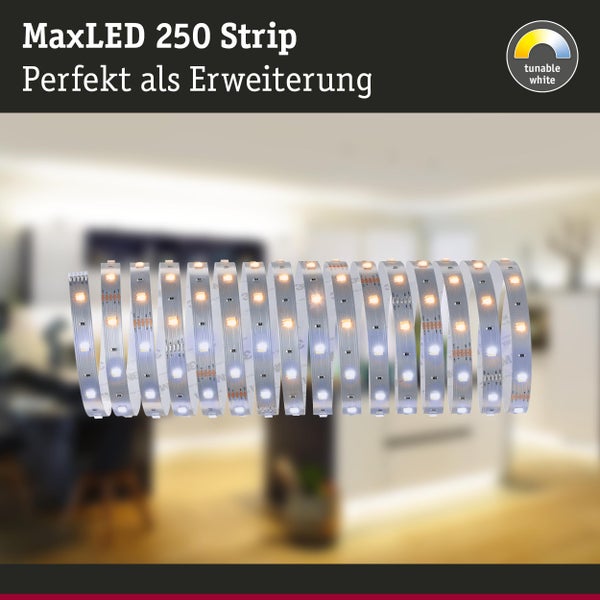 MaxLED 250 LED Stripe zur Erweiterung mit einstellbarem Weißton