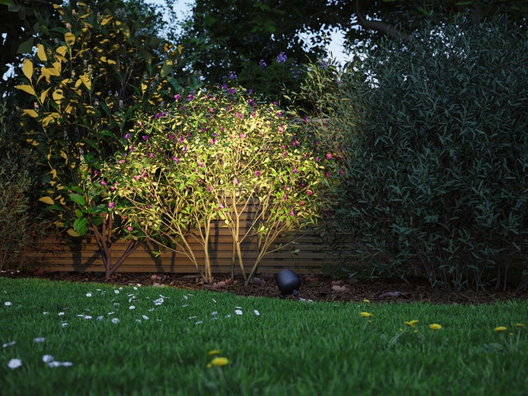 Gartenanlage mit Rasenfläche, Büschen und Beleuchtung