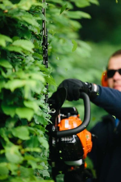 Eine Person schneidet eine Hecke mit einer Heckenschere