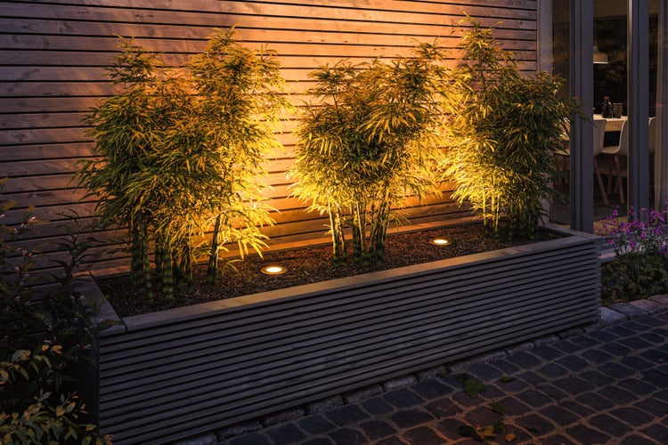 LED Bodeneinbauleuchte Goldlicht insektenfreundlich IP65 zylindrisch 110mm 2200K 4,3W 320lm 230V Edelstahl gebürstet Edelstahl, Kunststoff