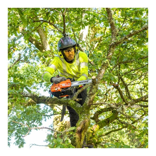 Baumpfleger bei der Arbeit mit einer Kettensäge in einem Baum.