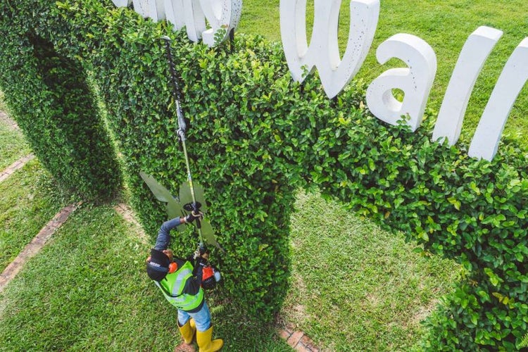 Mann schneidet Hecke mit Heckenschere in Gartenszene