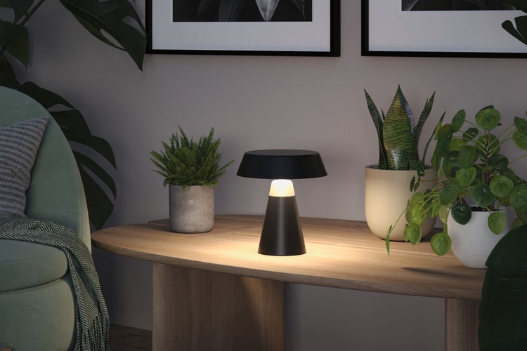 Dekorative Tischleuchte auf einem Holztisch, umgeben von Zimmerpflanzen.