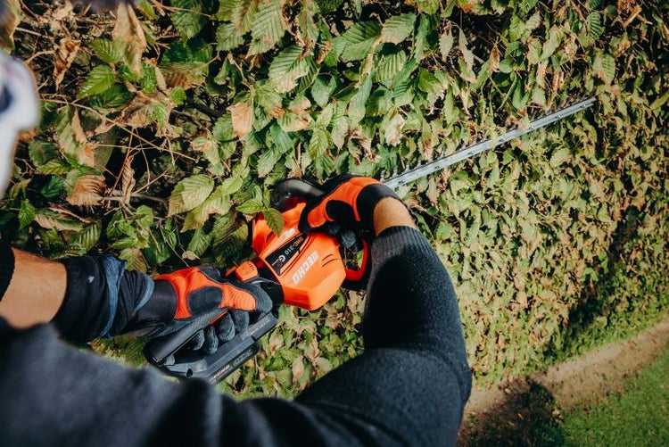 Person schneidet Hecke mit Akku-Heckenschere von Echo