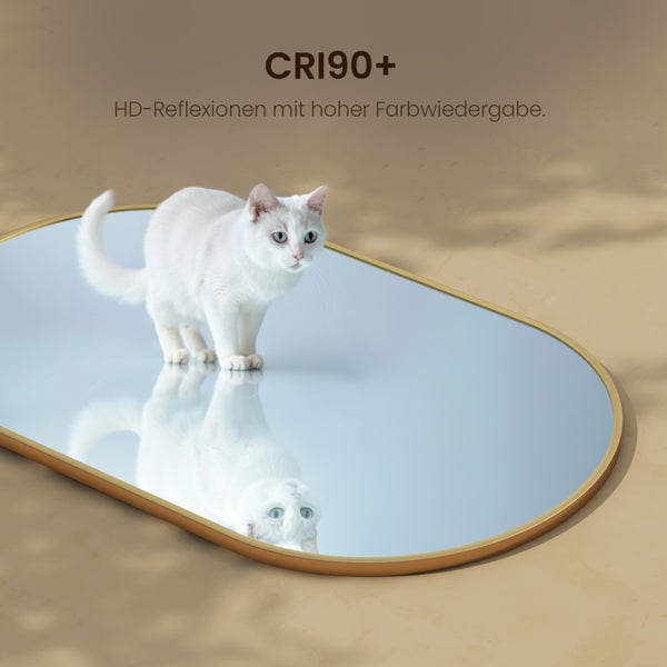 Ovaler Spiegel mit goldenem Rahmen und einer Katze
