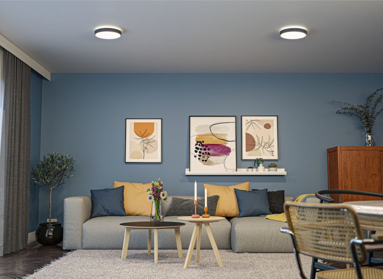 LED Panel Cosara IP44 rund 300mm 15W 1300lm 4000K Dunkelgrau
