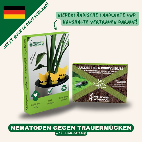 Strijtveen & Wagenaar - Nematoden gegen Trauermücken 10m² + 12 Klebestreifen - Kombipaket