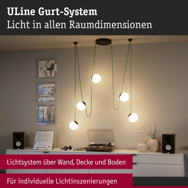 ULine Zubehör Gurt Halter Universal Schwarz
