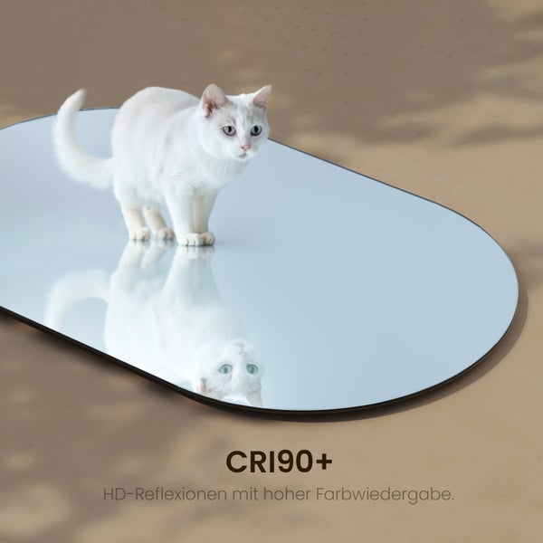 Ovaler Spiegel mit einer weißen Katze