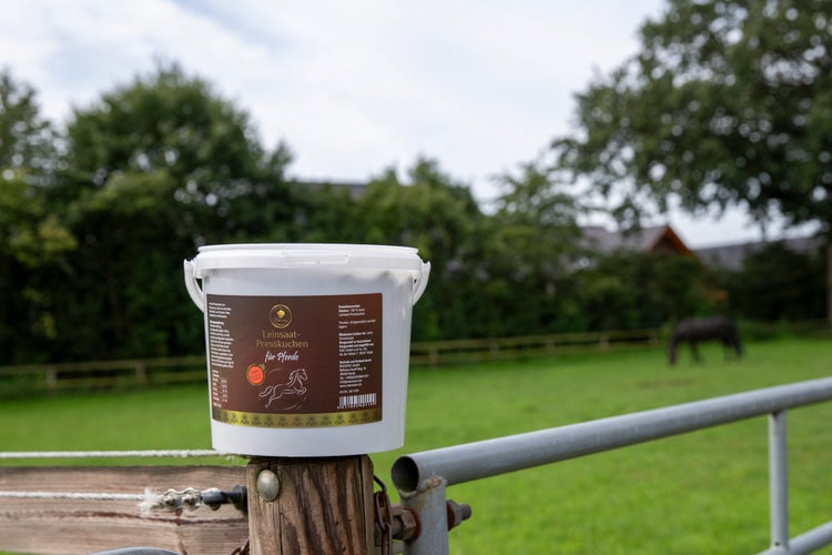 frisches Bio Leinkuchen 3kg von Naturezon