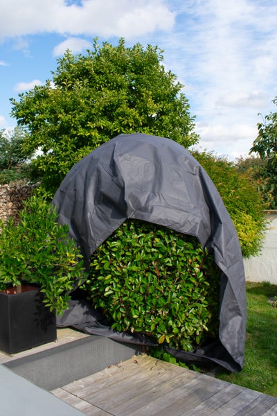 Eine dunkelgraue Schutzhülle für Pflanzen, die einen kugelförmigen Strauch im Garten abdeckt.