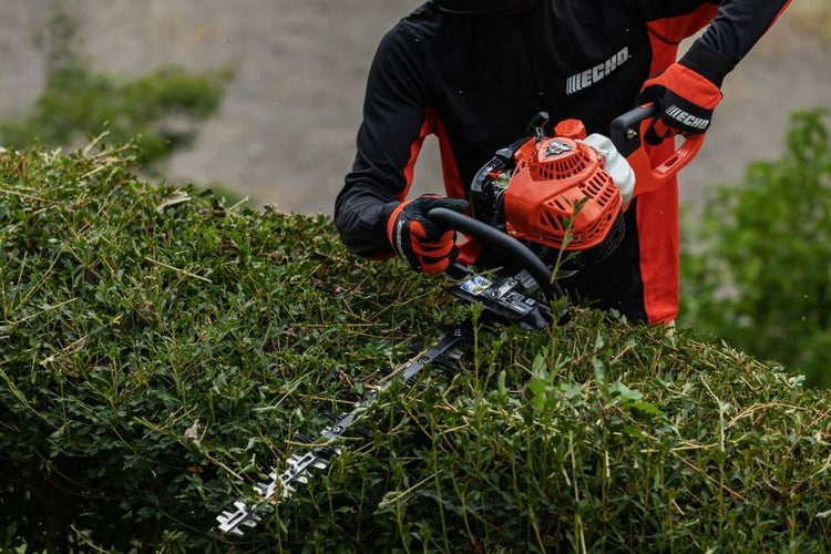 Person schneidet Hecke mit einer Echo Heckenschere.