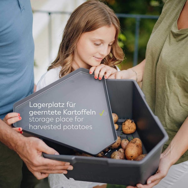 Eine Familie betrachtet eine graue Kunststoff-Lagerbox für geerntete Kartoffeln. Der funktionale Behälter verfügt über einen passenden Deckel.