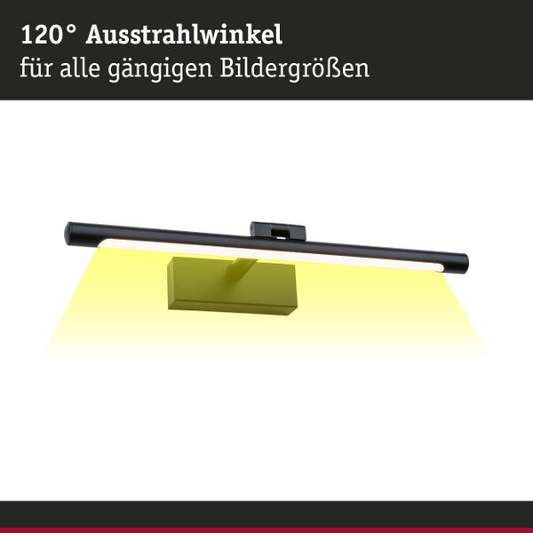 LED Bilderleuchte Mingo 3000K 510lm 230V 9,5W Schwarz