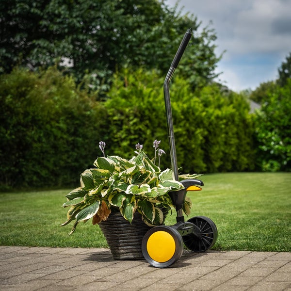 Blumentransportwagen mit Pflanze im Garten