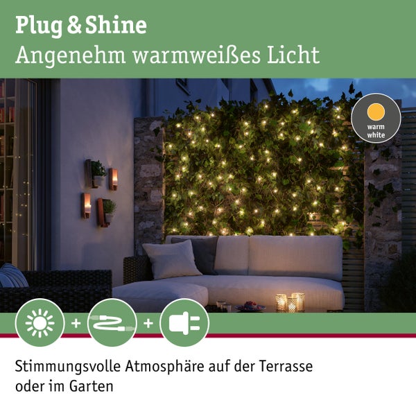 Lichterkette mit kleinen Lampen auf einem Ast