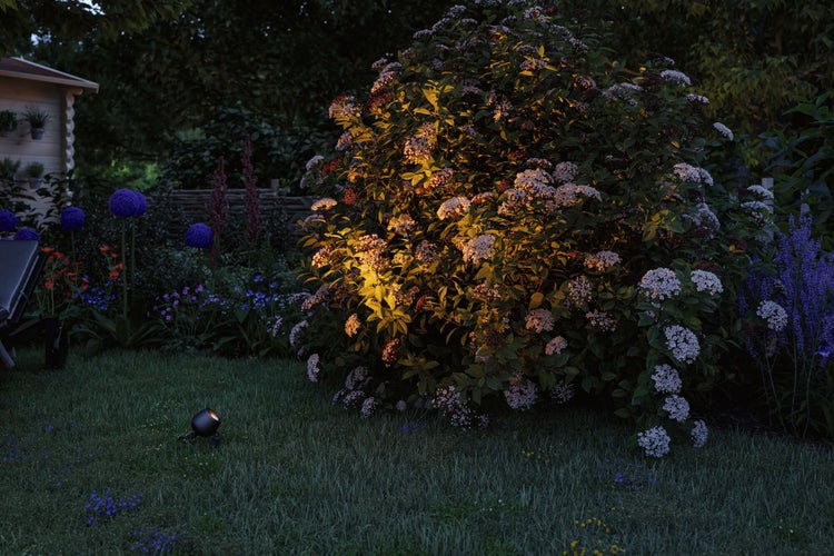 Garten mit Blumen, Sträuchern und Gartenleuchte für abendliche Beleuchtung